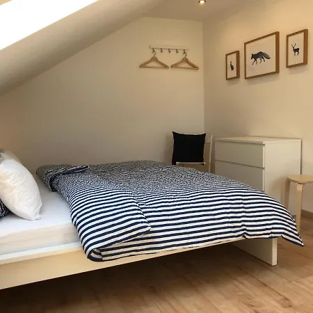Haus Am Spitalgarten Fuer 10 Personen Vakantiehuis Gundelfingen